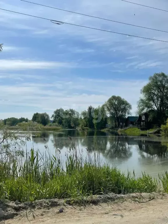 Участок в Новосибирская область, Новосибирский район, Криводановский ... - Фото 0