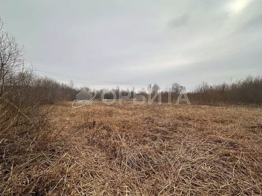 Участок в Тюменская область, Тюменский район, Озеро Малое кп ул. ... - Фото 0