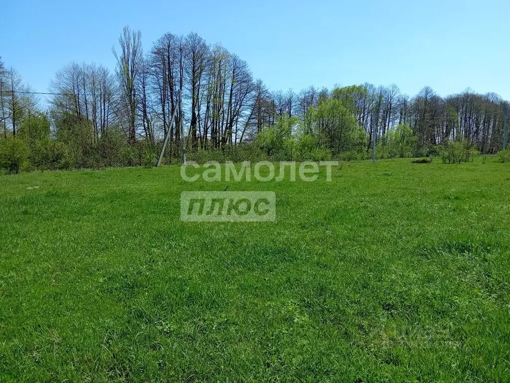 Участок в Адыгея, Майкоп городской округ, Ханская ст-ца ул. Степная ... - Фото 1