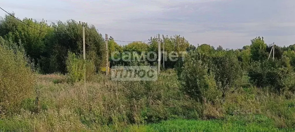 Участок в Липецкая область, Липецкий муниципальный округ, с. ... - Фото 1