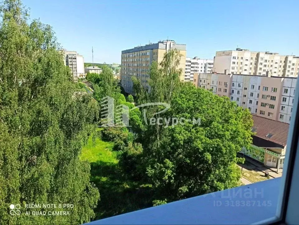 1-к кв. Нижегородская область, Выкса Центральный мкр, 11 (32.1 м) - Фото 0