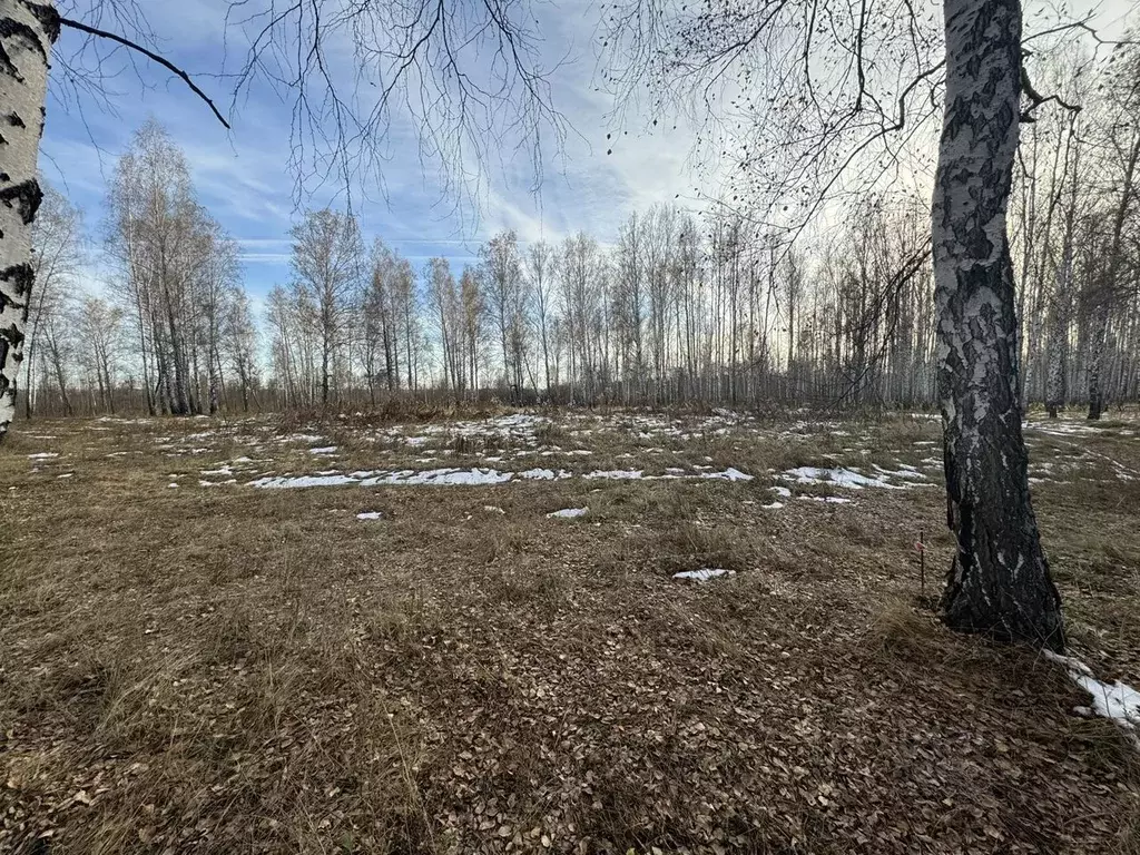 Участок в Тюменская область, Тюменский район, Винзили рп ул. Спорта ... - Фото 1