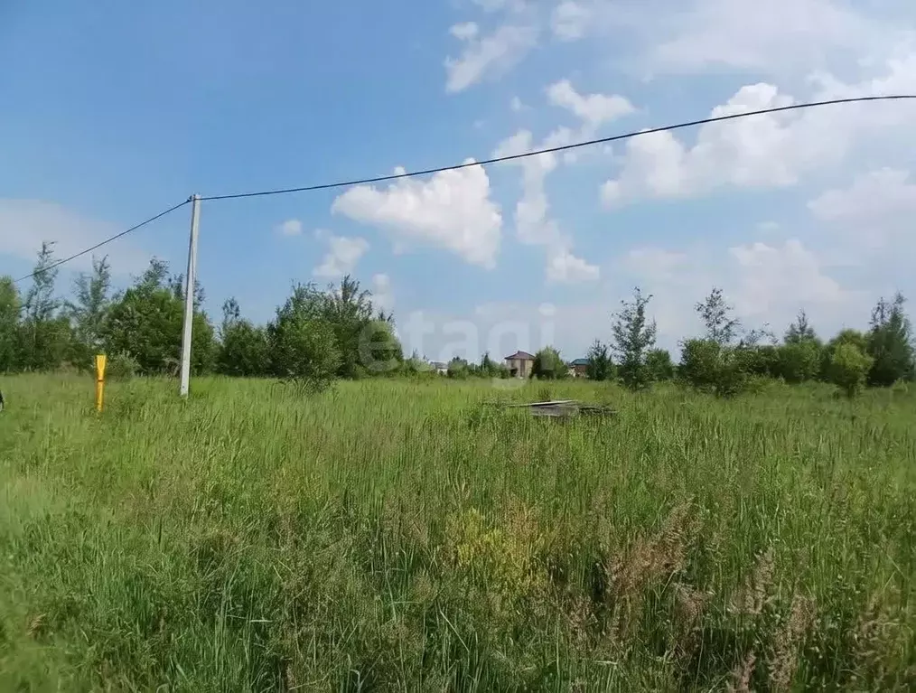Участок в Марий Эл, Йошкар-Ола городской округ, д. Шоя-Кузнецово ул. ... - Фото 1