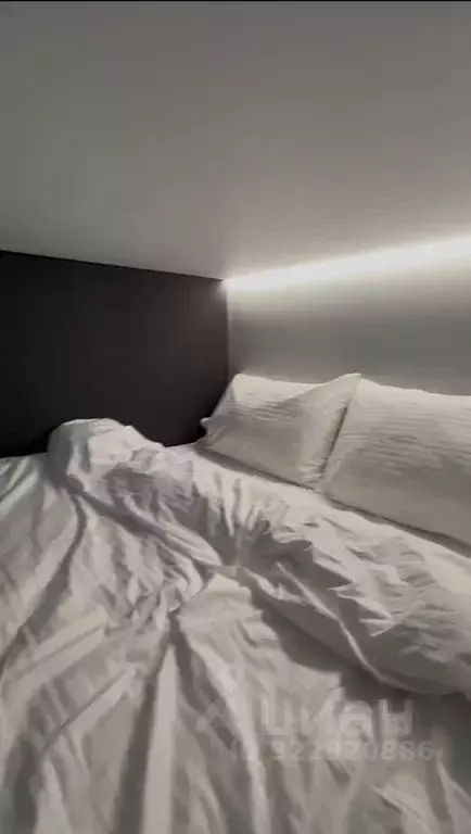 Студия Санкт-Петербург ул. Чехова, 4Б (18.0 м) - Фото 1