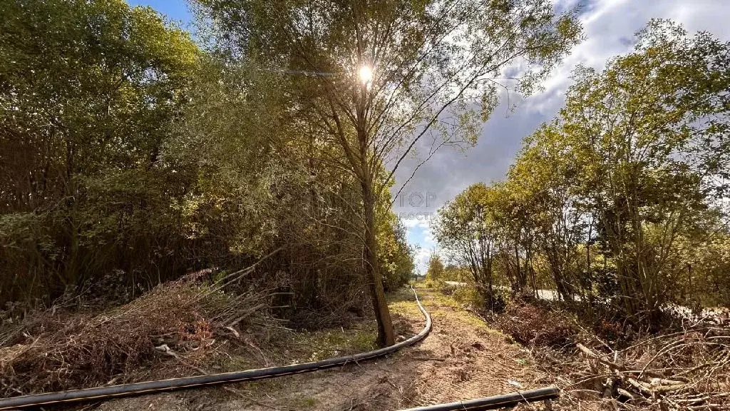 Продается участок в пос. Большевик - Фото 1