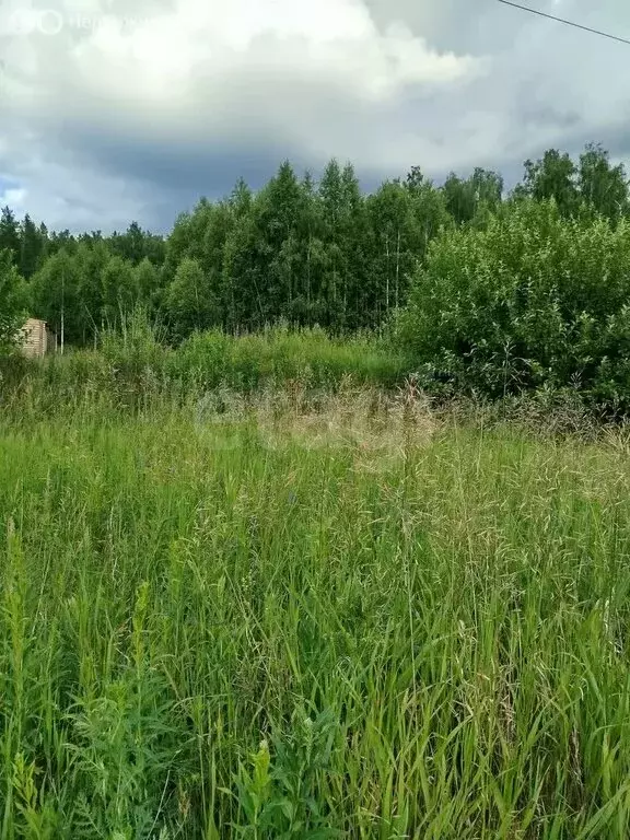 Участок в Миасс, Сибирская улица (6.2 м) - Фото 1