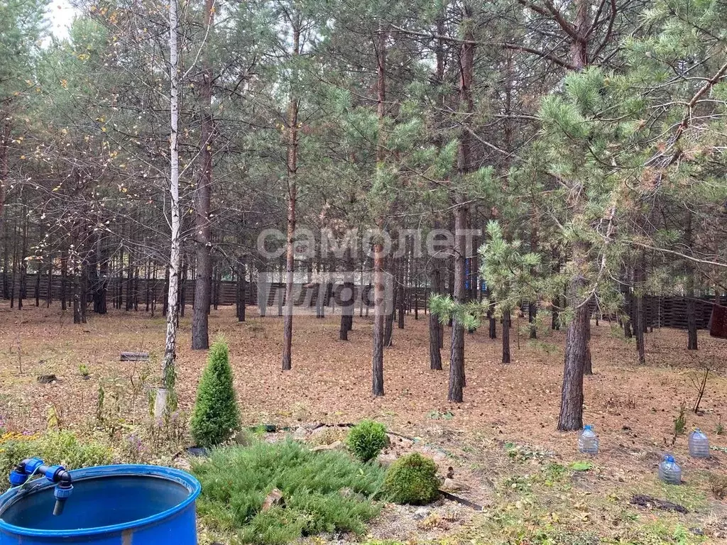 Дом в Курганская область, Кетовский муниципальный округ, Раздолье ДНТ ... - Фото 2