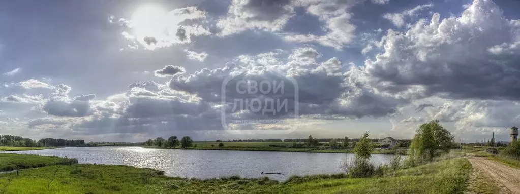 Участок в Рязанская область, Рязанский муниципальный округ, с. Реткино ... - Фото 2