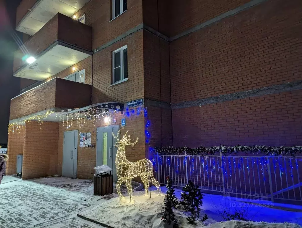 Студия Красноярский край, Красноярск ул. Калинина, 175В (22.2 м) - Фото 1