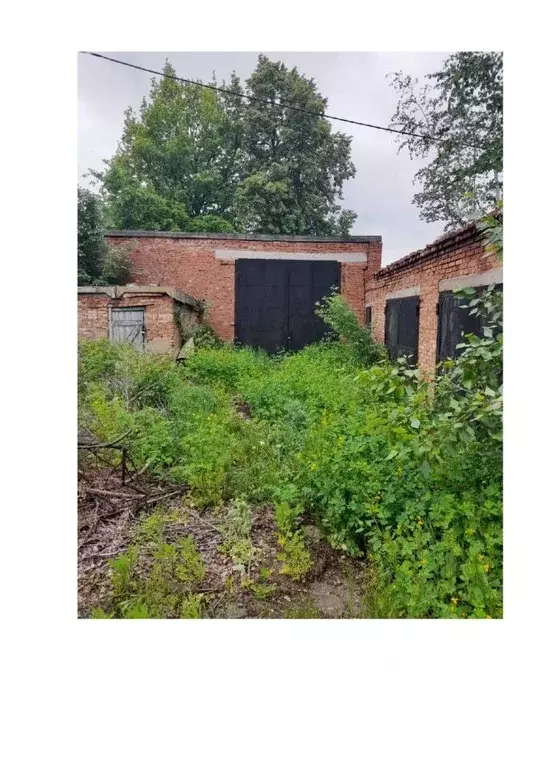 Помещение свободного назначения в Башкортостан, с. Буздяк ул. Кирова, ... - Фото 1