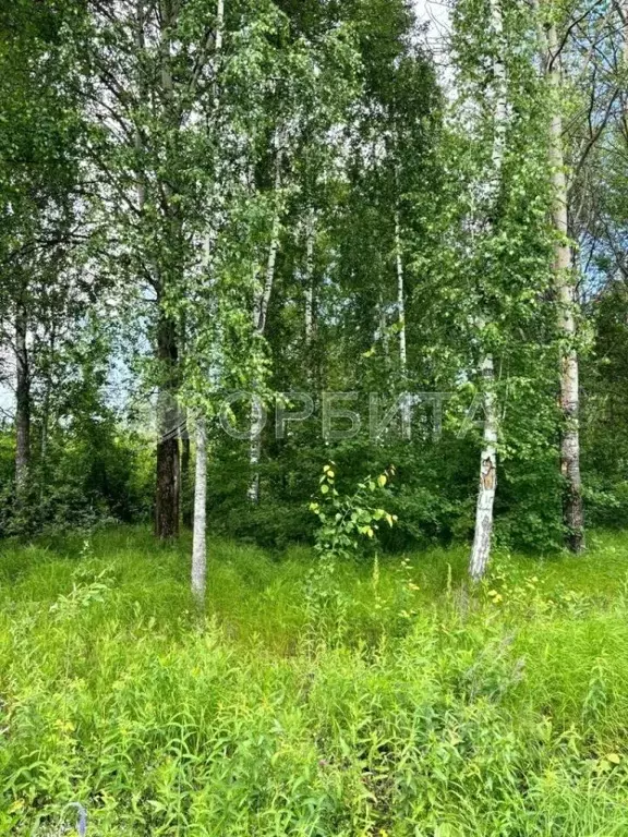 Участок в Тюменская область, Тюменский муниципальный округ, д. Зырянка ... - Фото 1