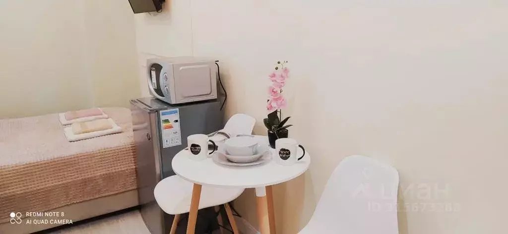 Студия Санкт-Петербург Среднеохтинский просп., 33/15 (11.0 м) - Фото 1