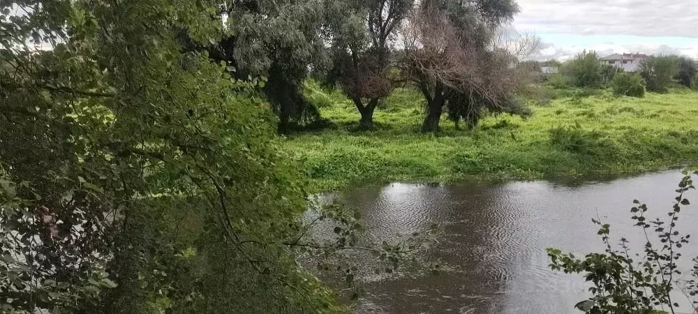 Участок в Московская область, Богородский городской округ, д. Аборино  ... - Фото 2