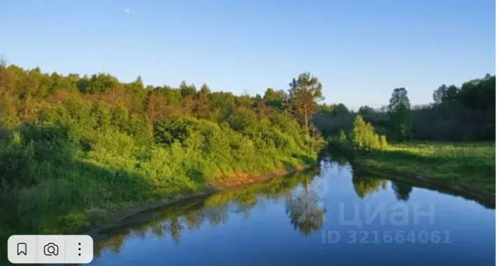 Участок в Свердловская область, Нижнесергинский район, Дружининское ... - Фото 2