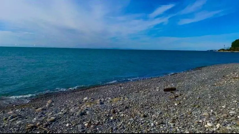 Участок в Краснодарский край, Сочи Курская ул. (130.0 сот.) - Фото 1