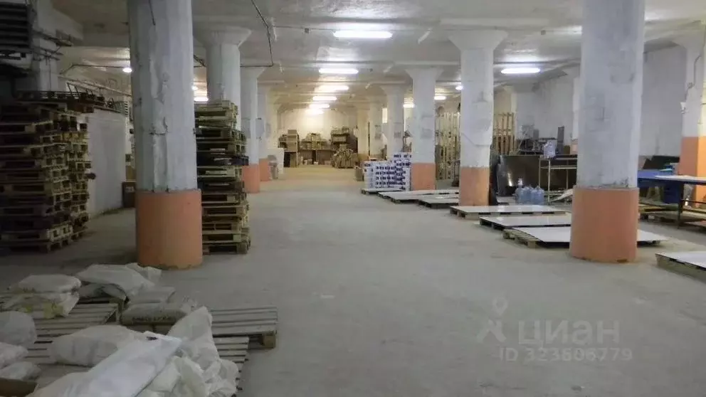 Склад в Нижегородская область, Нижний Новгород ул. Геологов, 1Б (510 ... - Фото 1