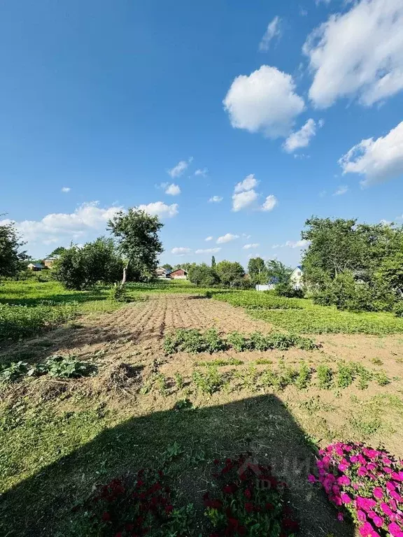 Участок в Башкортостан, Бирск городское поселение, с. Пономаревка ул. ... - Фото 1