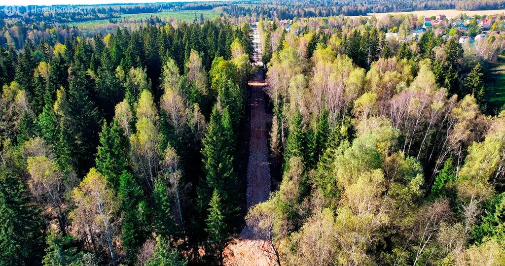 Участок в Одинцовский городской округ, КП Рига лес (6 м) - Фото 2