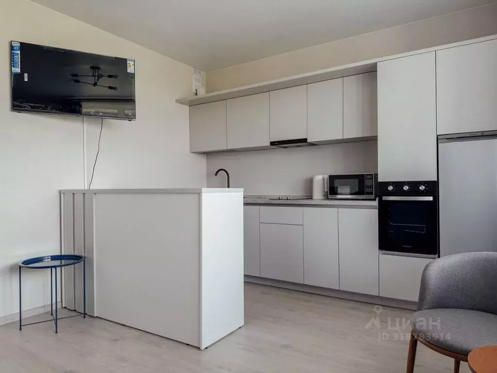 Студия Санкт-Петербург ул. Парфеновская, 17 (28.5 м) - Фото 1