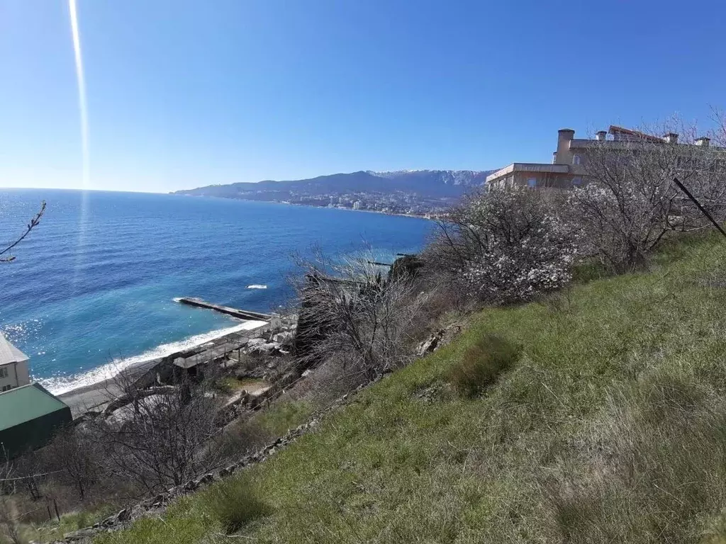 Участок в Крым, Ялта муниципальный округ, Отрадное пгт ш. Дражинского, ... - Фото 1