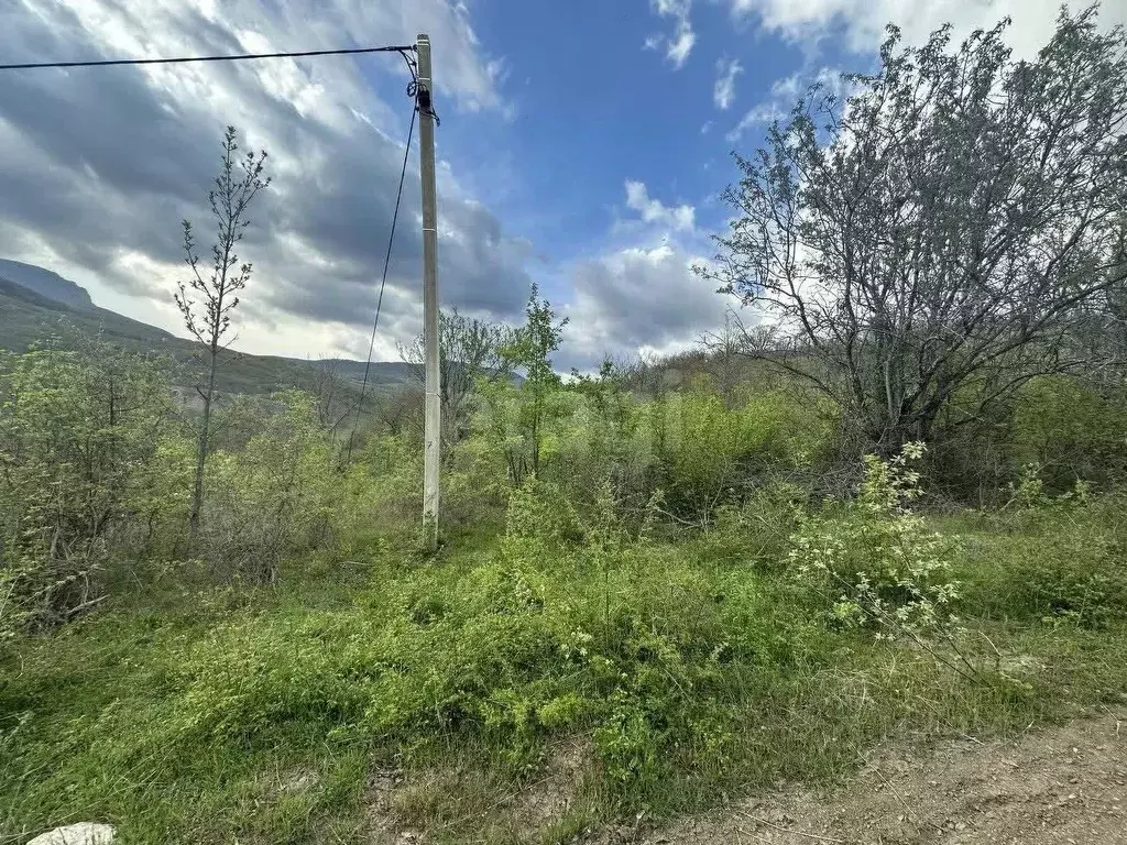 Участок в Крым, Алушта муниципальный округ, с. Лучистое ул. Грушевая, ... - Фото 0