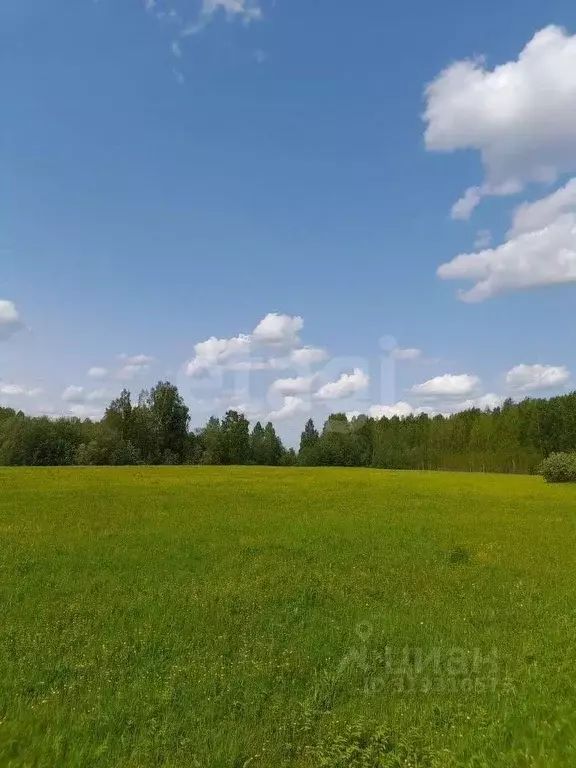 Участок в Коми, Корткеросский район, Посад СДТ  (10.0 сот.) - Фото 0