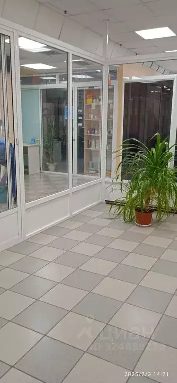 Офис в Самарская область, Тольятти ул. Мира, 96А (566 м) - Фото 1