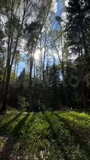 Участок 7,2 сот. (ИЖС) - Фото 1