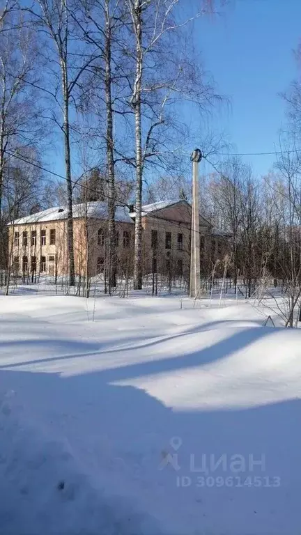 Дом в Ивановская область, Комсомольский район, с. Марково Школьная ... - Фото 0