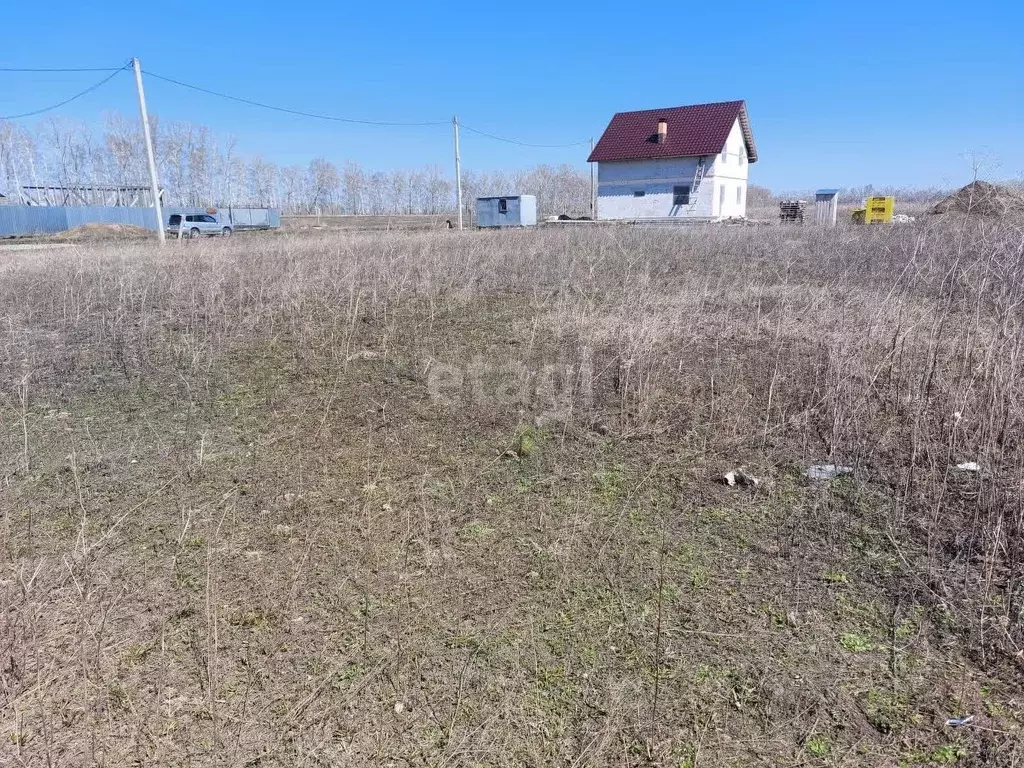 Участок в Алтайский край, Павловский район, П. Молодежный ДНТ  (10.0 ... - Фото 1