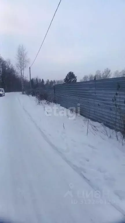 Участок в Новосибирская область, Искитимский район, Морозовский ... - Фото 0