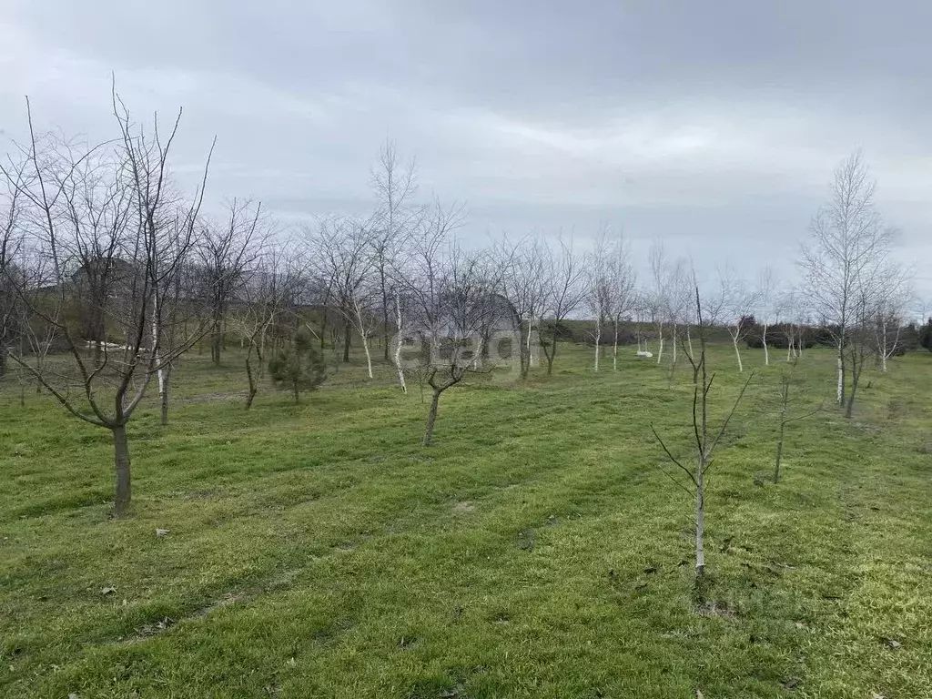 Участок в Краснодарский край, Ейское городское поселение, пос. Морской ... - Фото 1