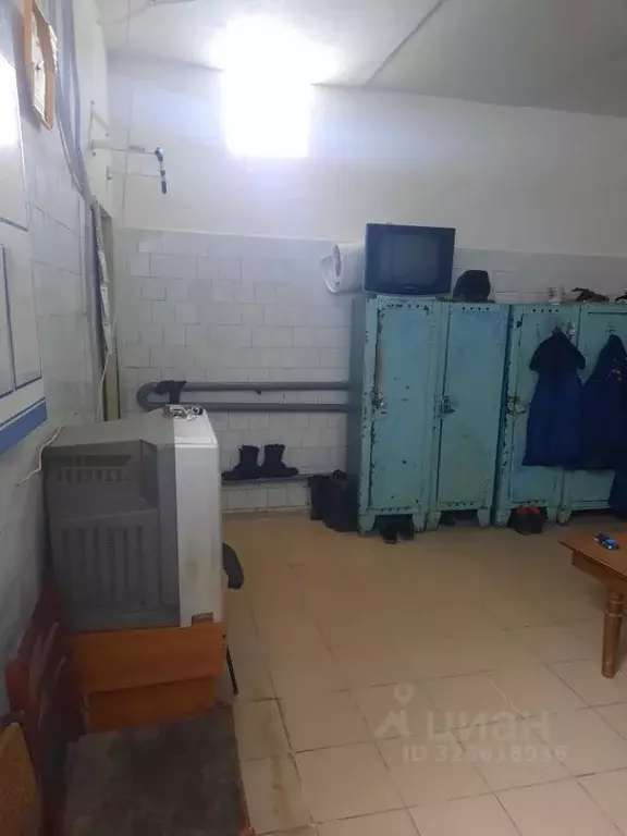 Помещение свободного назначения в Чувашия, Чебоксары ул. ... - Фото 1