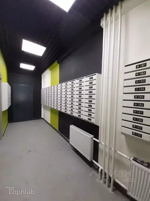 1-к кв. Пензенская область, Пенза ул. Генерала Глазунова, 6 (31.9 м) - Фото 2