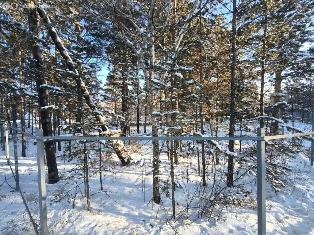 Участок в Читинский район, ДНП Усадьба, Дворянская улица (20 м) - Фото 2