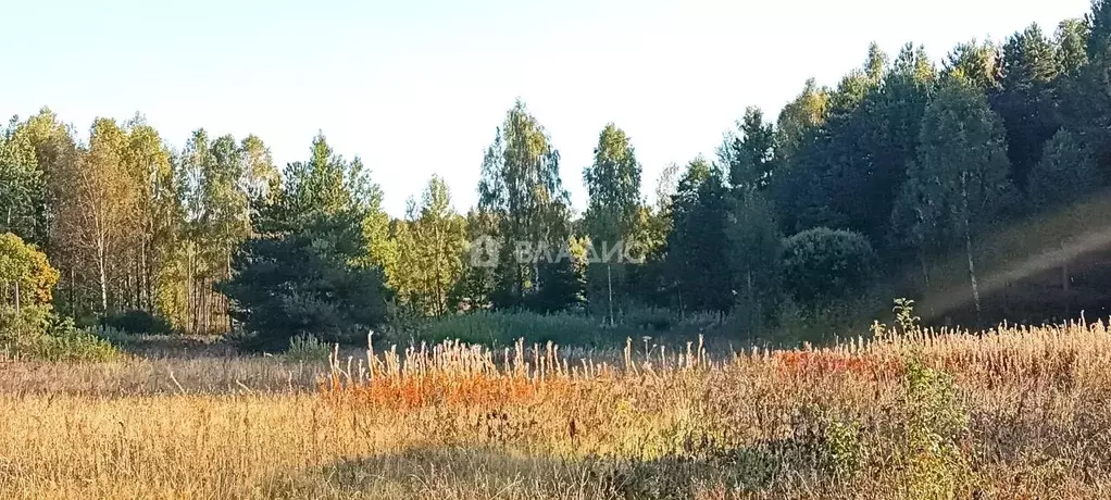 Участок в Владимирская область, Судогодский район, д. Суховка  (17.5 ... - Фото 0