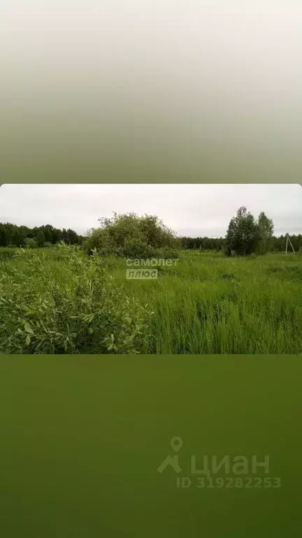 Участок в Тюменская область, Нижнетавдинский район, Геофизик 2 СНТ  ... - Фото 0