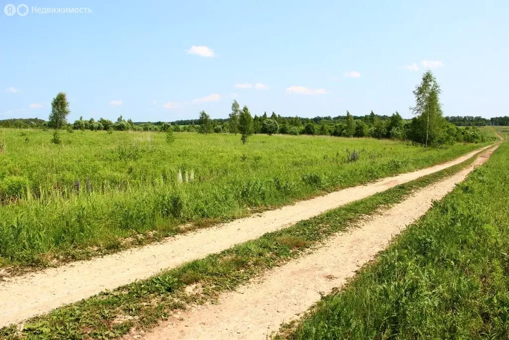 Участок в Заокский район, сельское поселение Демидовское (300 м) - Фото 1