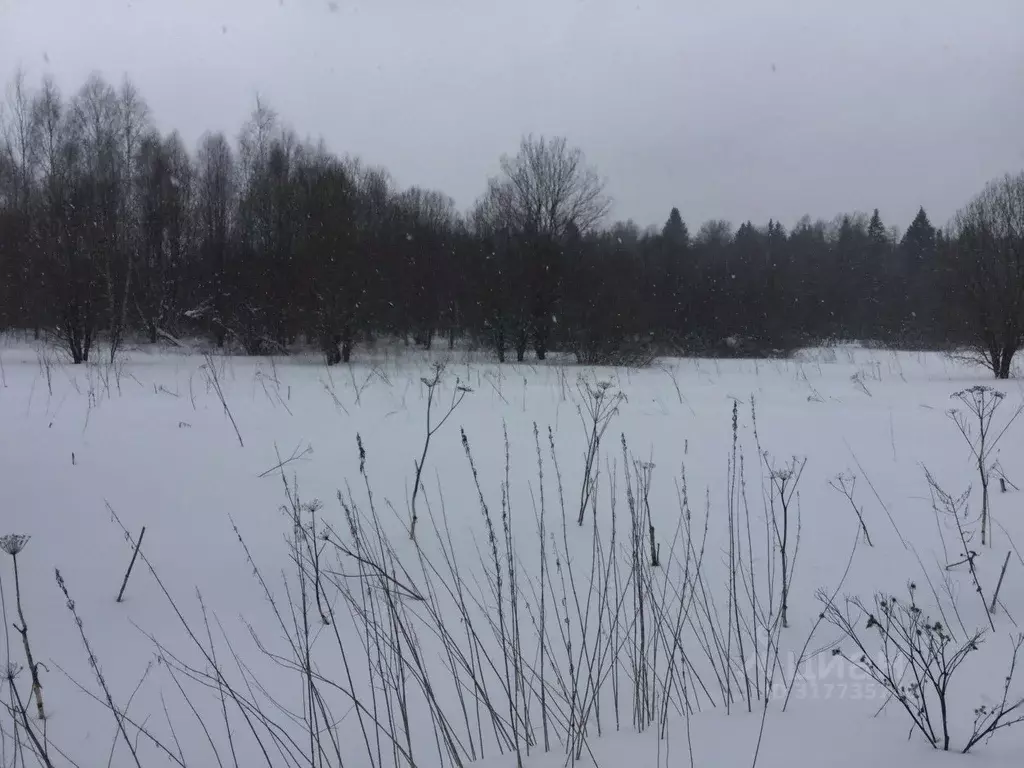 Участок в Московская область, Сергиево-Посадский городской округ, с. ... - Фото 1