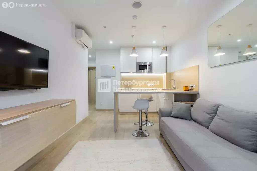 1-комнатная квартира: Санкт-Петербург, Социалистическая улица, 21 ... - Фото 1