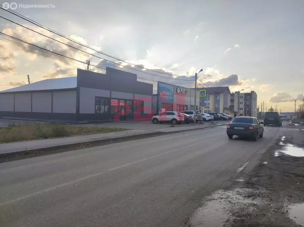 Помещение свободного назначения (270 м) - Фото 1