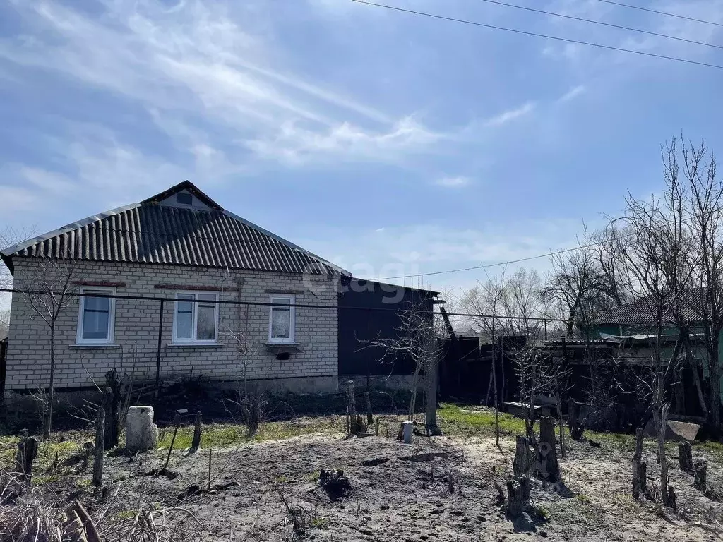 Дом в Белгородская область, Губкинский городской округ, с. Сергиевка ... - Фото 1