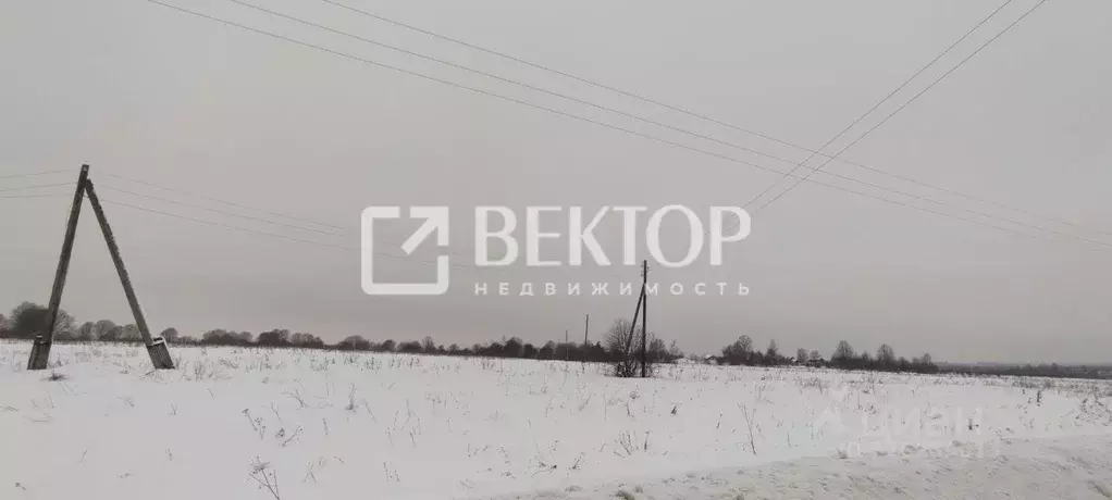 Участок в Ярославская область, Большесельский муниципальный округ, д. ... - Фото 2