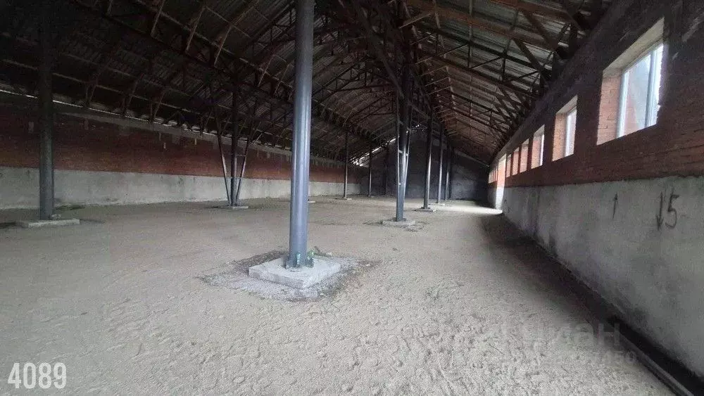 Производственное помещение в Краснодарский край, Динской район, ... - Фото 2