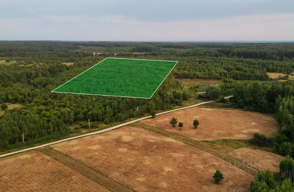 Участок в Тульская область, Заокский район, Страховское с/пос, д. ... - Фото 2