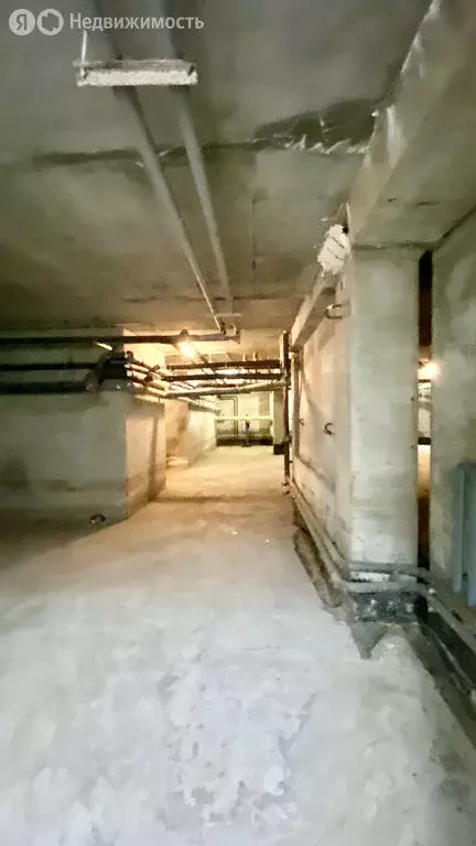 Помещение свободного назначения (248 м) - Фото 1