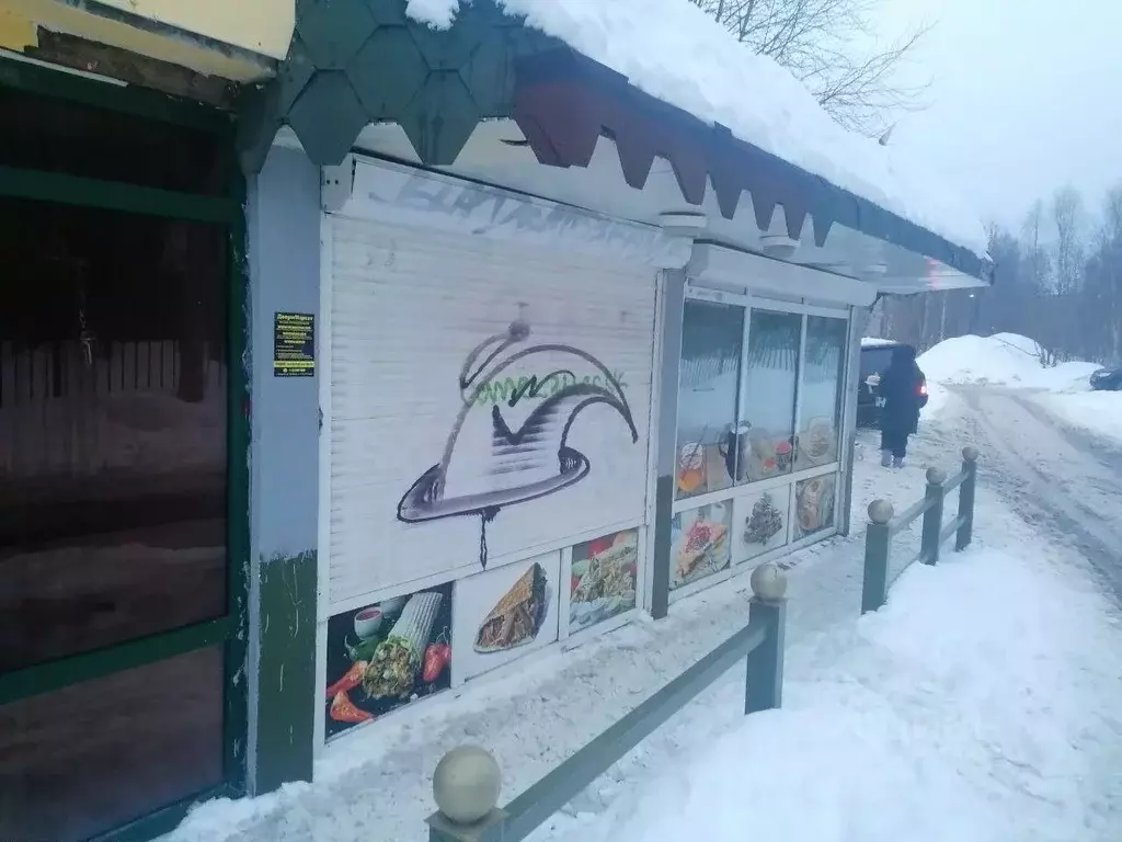 Помещение свободного назначения в Мурманская область, Мурманск ул. ... - Фото 1