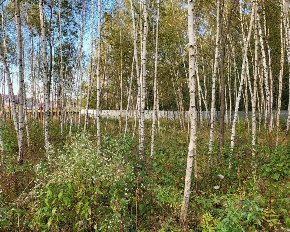 Участок в Московская область, Серпухов городской округ, Южные Дачи кп  ... - Фото 1