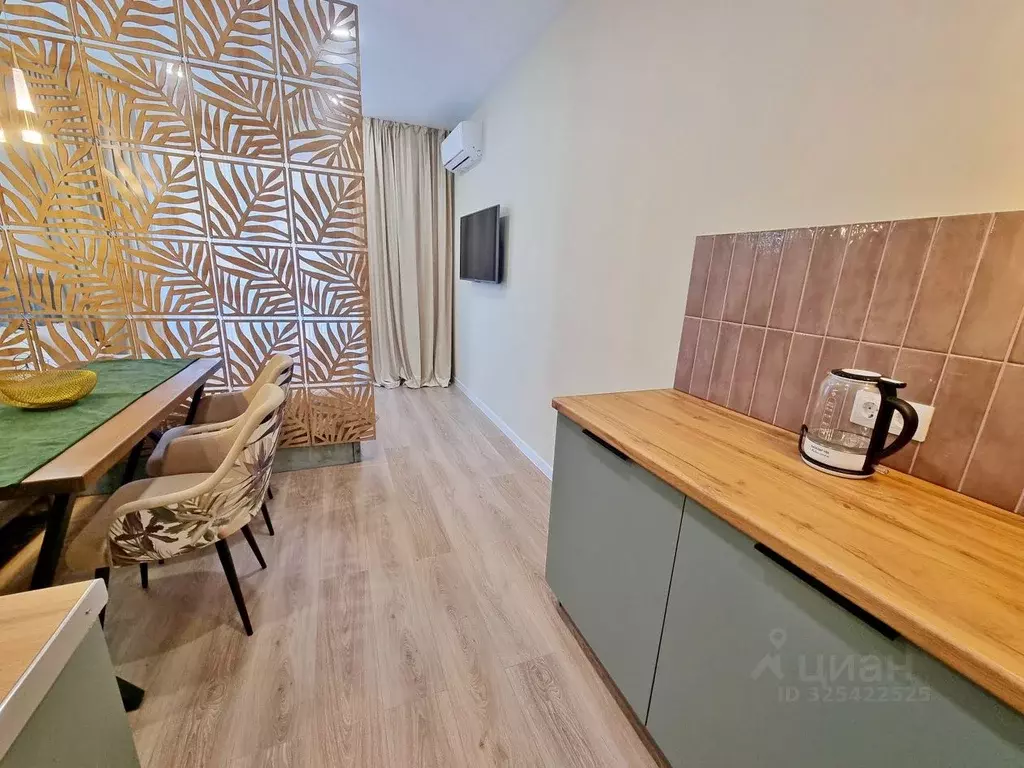 Студия Краснодарский край, Сочи ул. Искры, 88к3 (27.5 м) - Фото 2