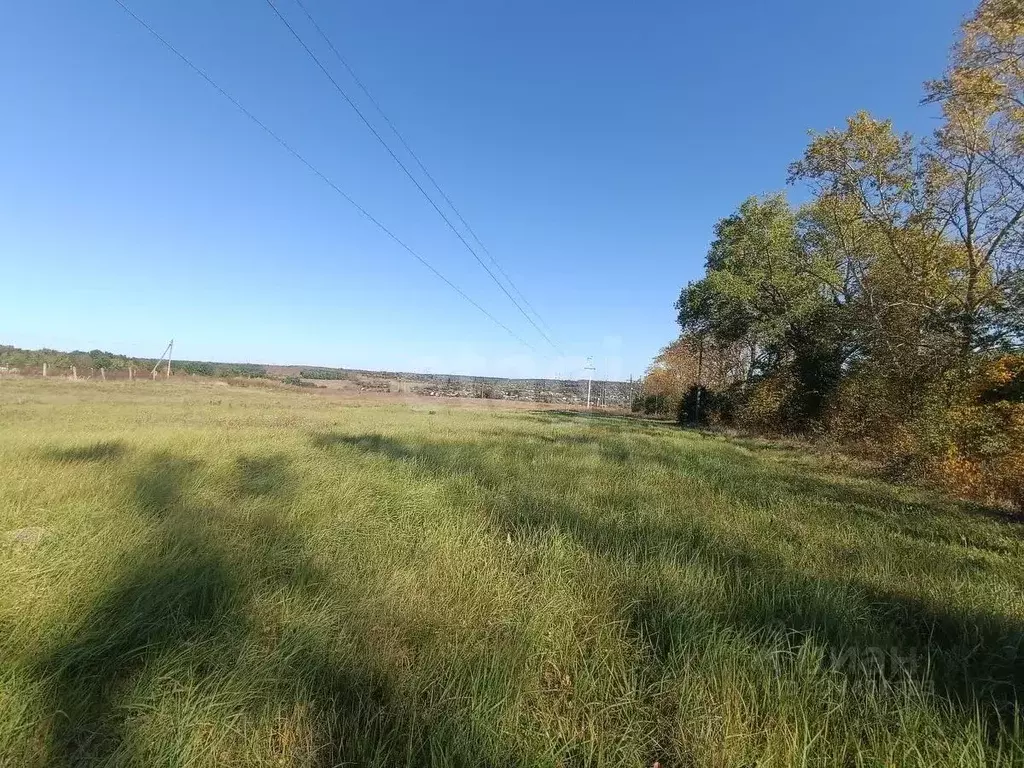 Участок в Курская область, Курский район, Моковский сельсовет, д. ... - Фото 2